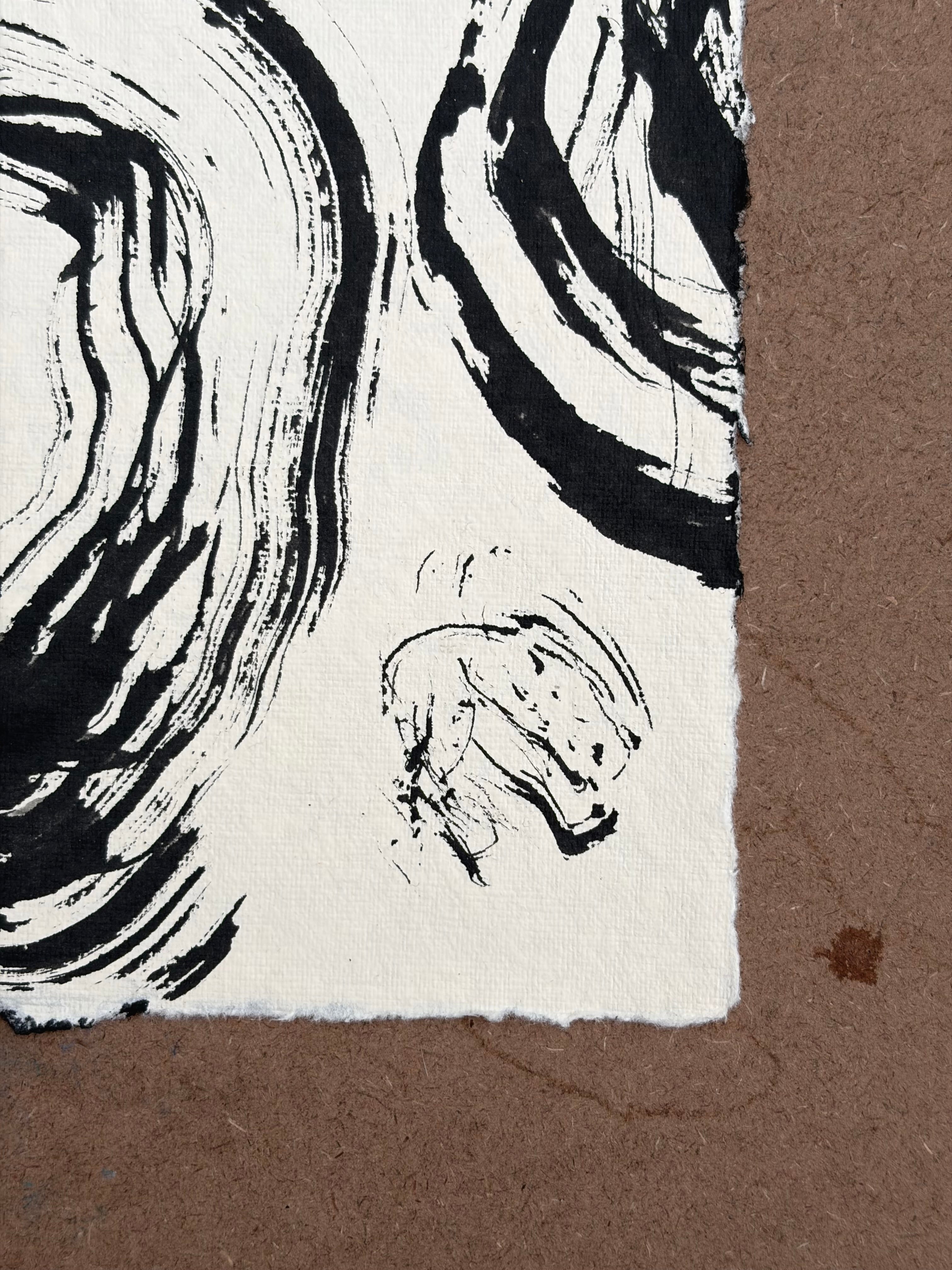 Studies 29