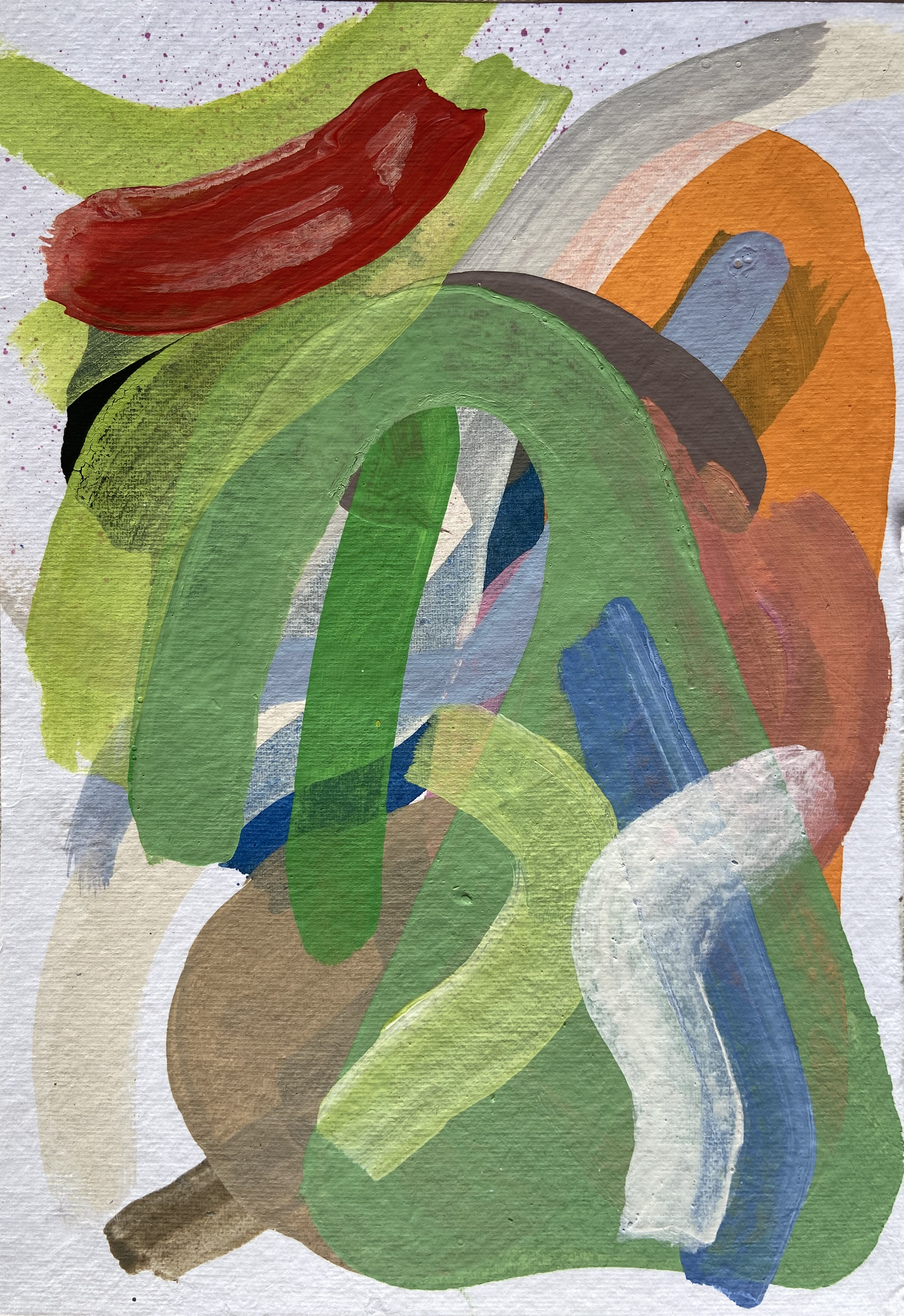 Studies 11