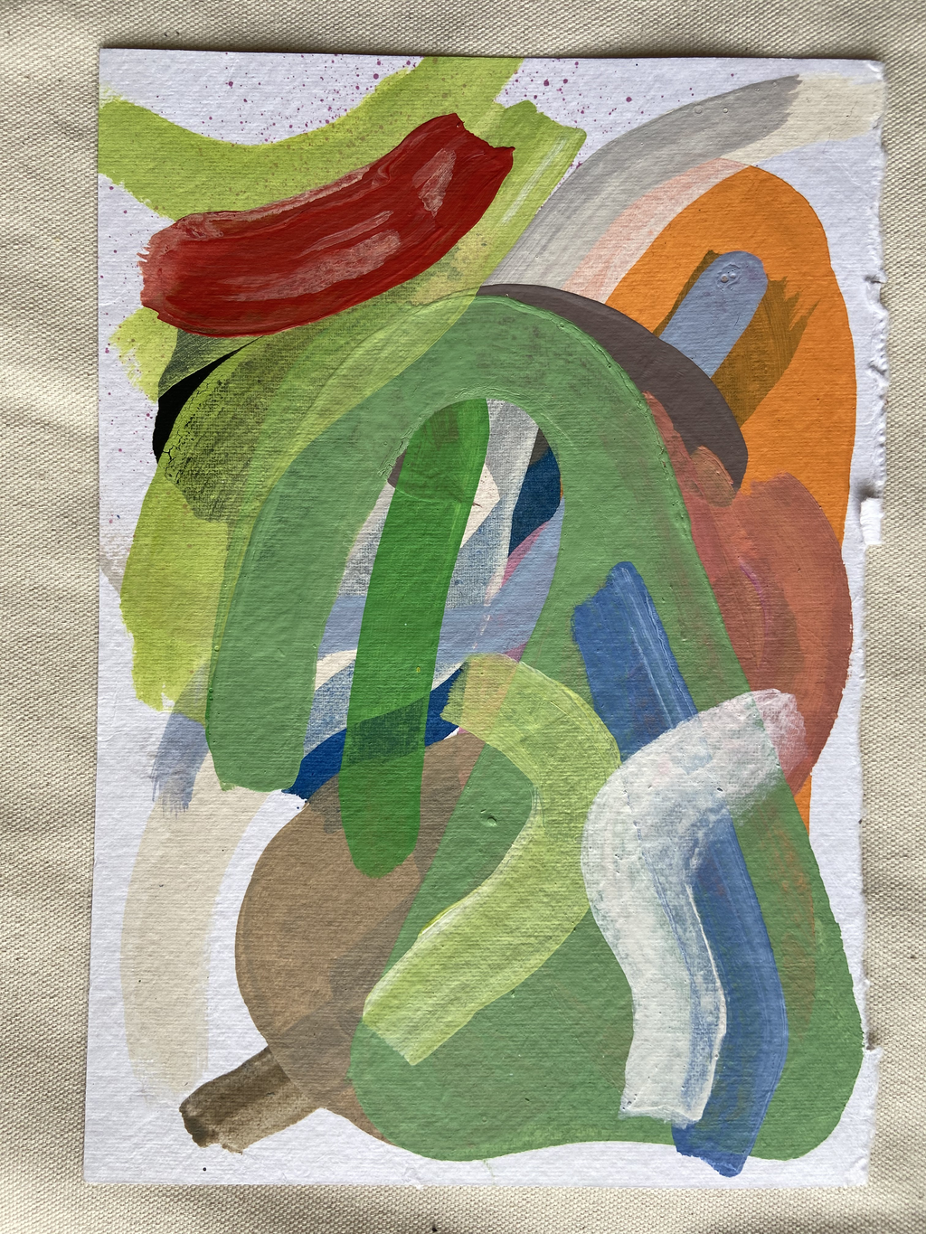 Studies 11