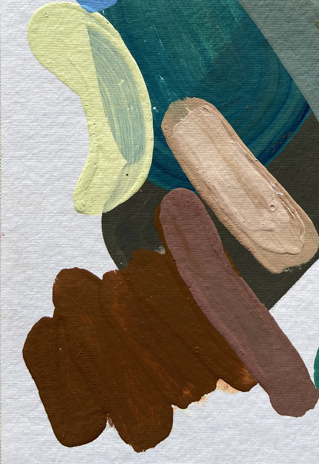 Studies 05